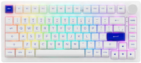 

Клавиатура Akko, PC75B Plus White&Blue / 1745903