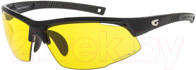 Очки солнцезащитные GOG E667-3  (черный/темно серый)