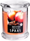 Свеча Spaas 0547016181 (яблоко с корицей) - 