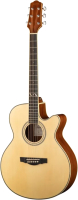 Акустическая гитара Naranda F303CNA - 