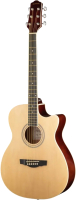 Акустическая гитара Naranda TG120CNA - 