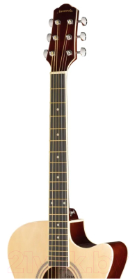 Акустическая гитара Naranda TG120CNA