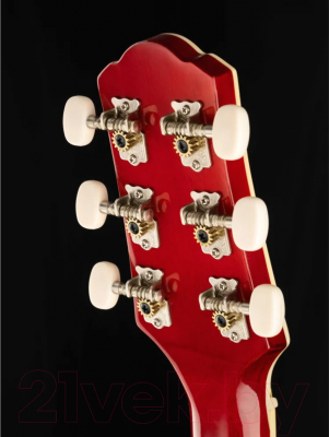 Акустическая гитара Naranda CAG280RDS