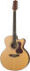 Акустическая гитара Naranda JG303CNA - 