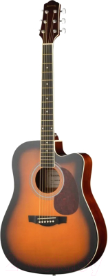 Акустическая гитара Naranda DG120CBS