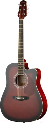Акустическая гитара Naranda DG120CWRS