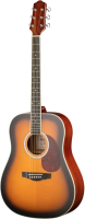 Акустическая гитара Naranda DG220BS - 