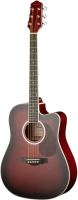 Акустическая гитара Naranda DG220CWRS - 