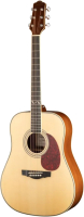 Акустическая гитара Naranda DG303NA - 
