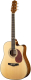Акустическая гитара Naranda DG403CN - 