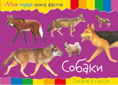 Изображение товара Развивающая книга ND Play Моя первая книга фактов. Собаки / 252050