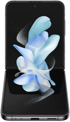 Смартфон Samsung Galaxy Z Flip4 128GB / SM-F721B (серый)