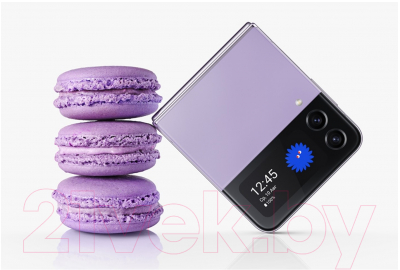 Смартфон Samsung Galaxy Z Flip4 256GB / SM-F721B (серый)