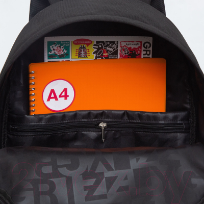 Рюкзак Grizzly RQL-317-3 (черный)