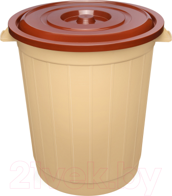 Бак пластиковый Эльфпласт ЕР011 (80л, бежево-коричневый)