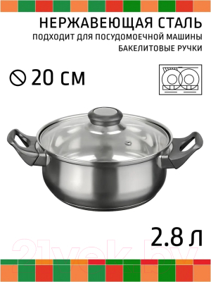 Кастрюля Astell RW1201-LQ-20C