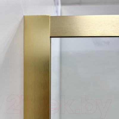 Купить Душевая дверь RGW SV-12-G / 32321210-16 в Гомеле