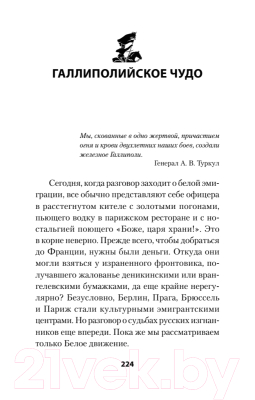 Книга Питер Россия в огне Гражданской войны (Гаспарян А.)