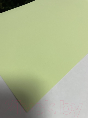 Фотобумага ProfiColor Color Green двусторонняя A4 240 г/м2 / BN05471 (50л, матовый)