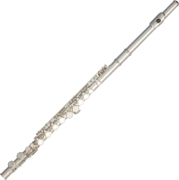 

Флейта Stagg, WS-FL111