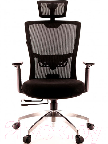 Кресло офисное Everprof Polo (сетка черная)
