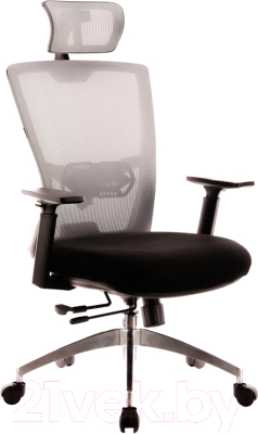 Кресло офисное Everprof Polo (сетка черный/серый)