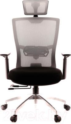 Кресло офисное Everprof Polo (сетка черный/серый)
