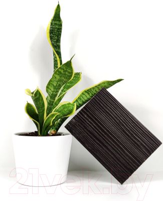 Изображение товара Морилка HELIOS Ekohel Венге (1л)