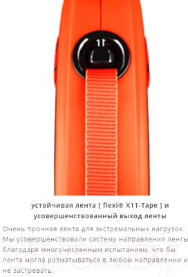 Поводок-рулетка Flexi Xtreme ремень / 34507 (XS, 3м, черный/оранжевый)
