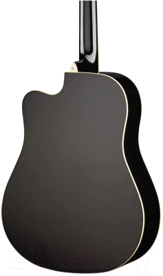 Акустическая гитара Naranda TG220CBK