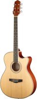 Акустическая гитара Naranda TG220CNA - 