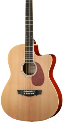 Акустическая гитара Naranda CAG280CNA