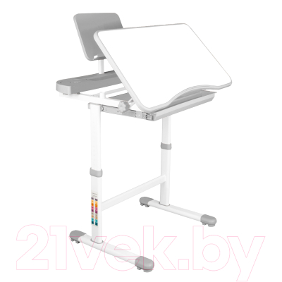 Парта+стул Anatomica Ara с подставкой для книг и выдвижным органайзером (белый/серый)