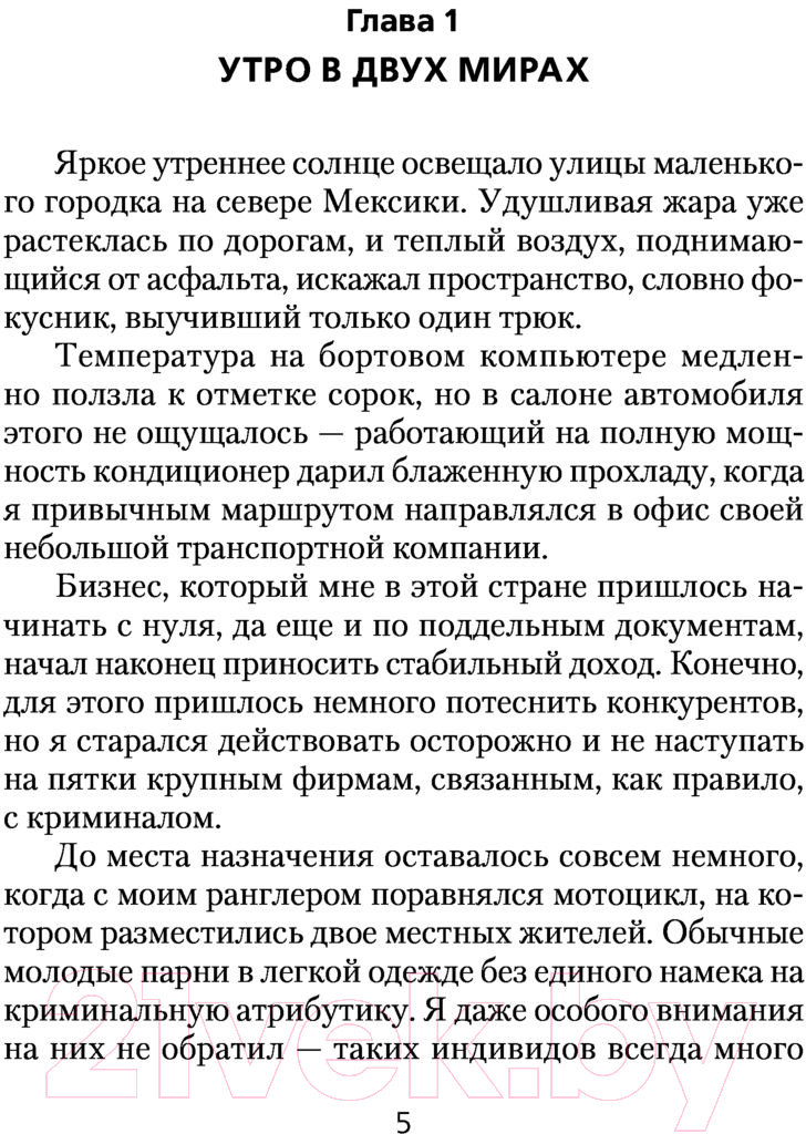 Художественная книга АСТ Княжество Орловское (Мельцов И.) — фото 4