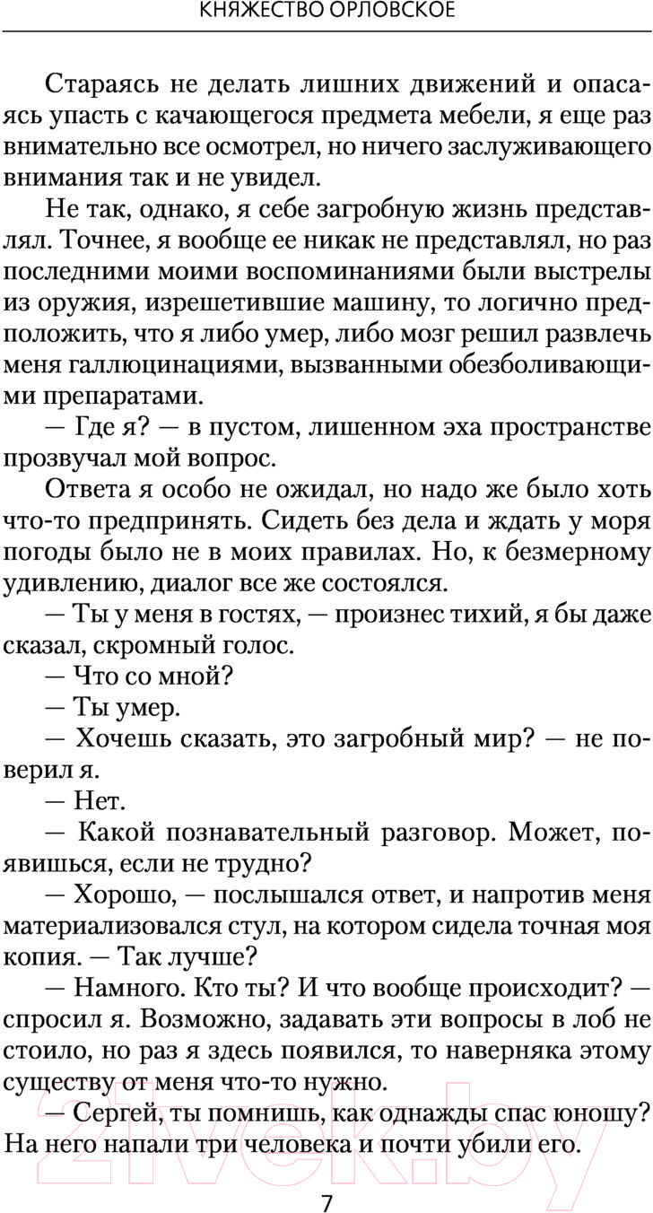 Художественная книга АСТ Княжество Орловское (Мельцов И.) — фото 6
