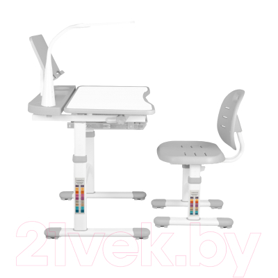 Парта+стул Anatomica Ara с подставкой для книг, светильником и выдвижным органайзером (белый/серый)