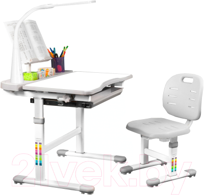 Парта+стул Anatomica Ara с подставкой для книг, светильником и выдвижным органайзером (белый/серый)