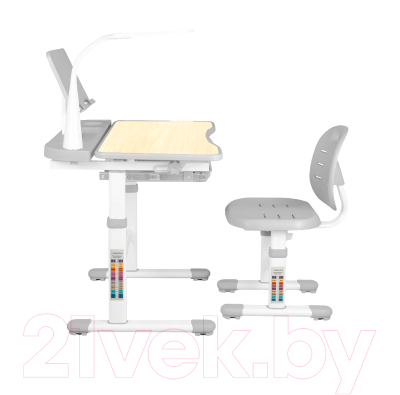 Парта+стул Anatomica Ara с подставкой для книг, светильником и выдвижным органайзером (клен/серый)