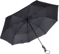 Зонт складной Rain Berry 734-7371 (черный) - 