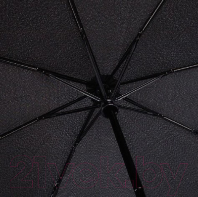 Зонт складной Rain Berry 734-7371 (черный)