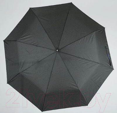 Зонт складной Rain Berry 734-7371 (черный)