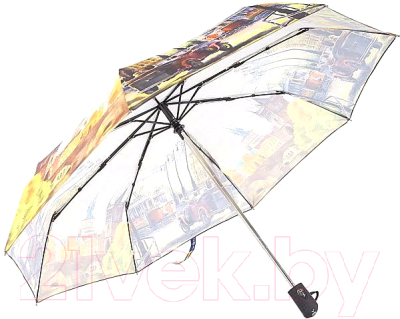 Зонт складной Rain Berry 739-237
