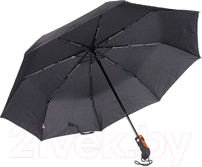 Зонт складной Rain Berry 739-601 (черный)