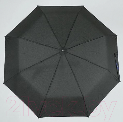 Зонт складной Rain Berry 739-601 (черный)