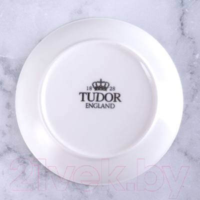 Тарелка закусочная (десертная) Tudor England TU2204
