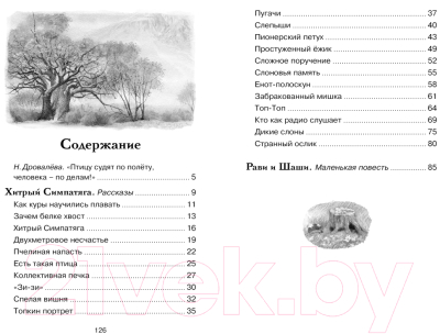Изображение товара Книга Махаон Зачем белке хвост. Рассказы и повесть (Баруздин С.)