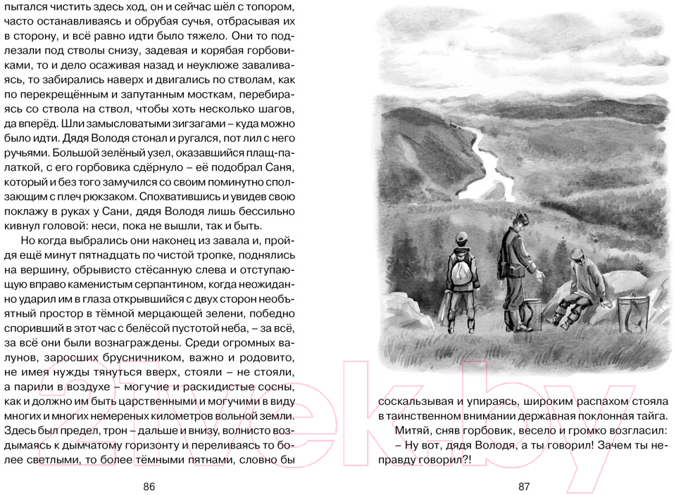 Художественная книга Махаон Уроки французского (Распутин В.) — фото 6