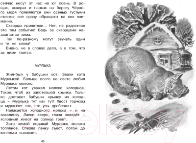 Книга Махаон Лесные тайнички (Сладков Н.)