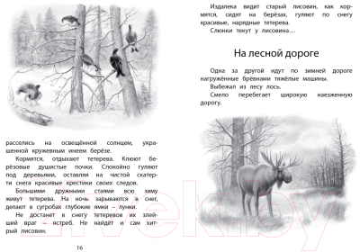 Книга Махаон Год в лесу. Рассказы о природе (Соколов-Микитов И.)