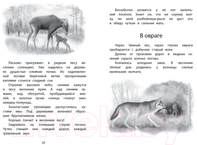 Книга Махаон Год в лесу. Рассказы о природе (Соколов-Микитов И.)